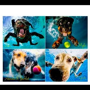 Willow Creek Press Underwater Dogs: Splash 1000-Piece Puzzle